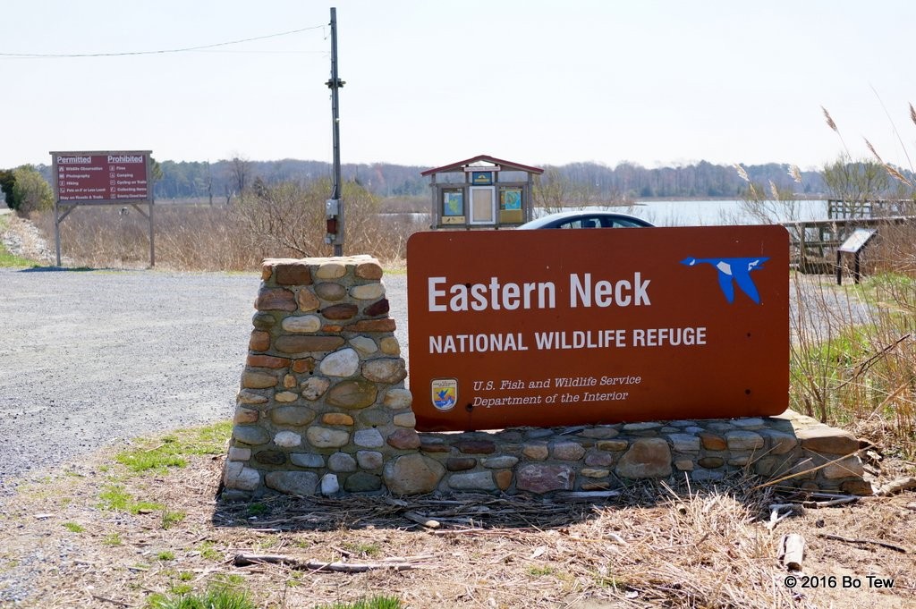 Eastern Neck.